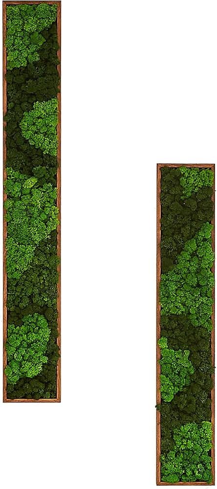 PJCOLL Wall Art,Moss Wall Decor,Rectangle 2Pcs Framed Moss Wall,Home Decor,Decorations for Living... | Amazon (US)