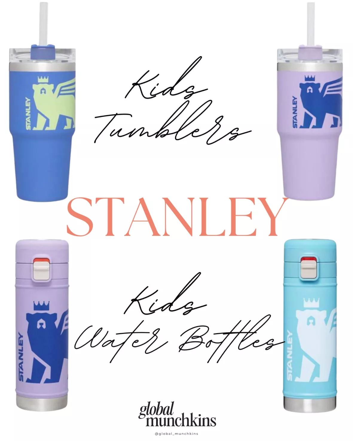 Stanley 17oz Stainless Steel Flowsteady Big Bear Bottle : Target