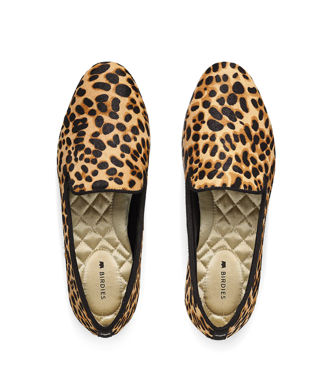 The Starling - Cheetah | BIRDIES