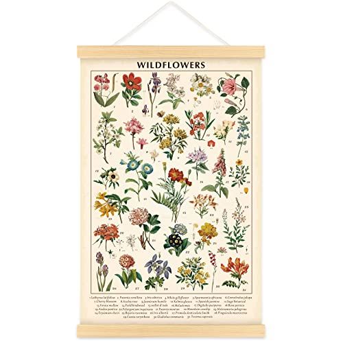 Vintage Wildflowers Poster Botanical Wall Art Prints Colorful Rustic Style of Floral Wall Hanging... | Amazon (US)