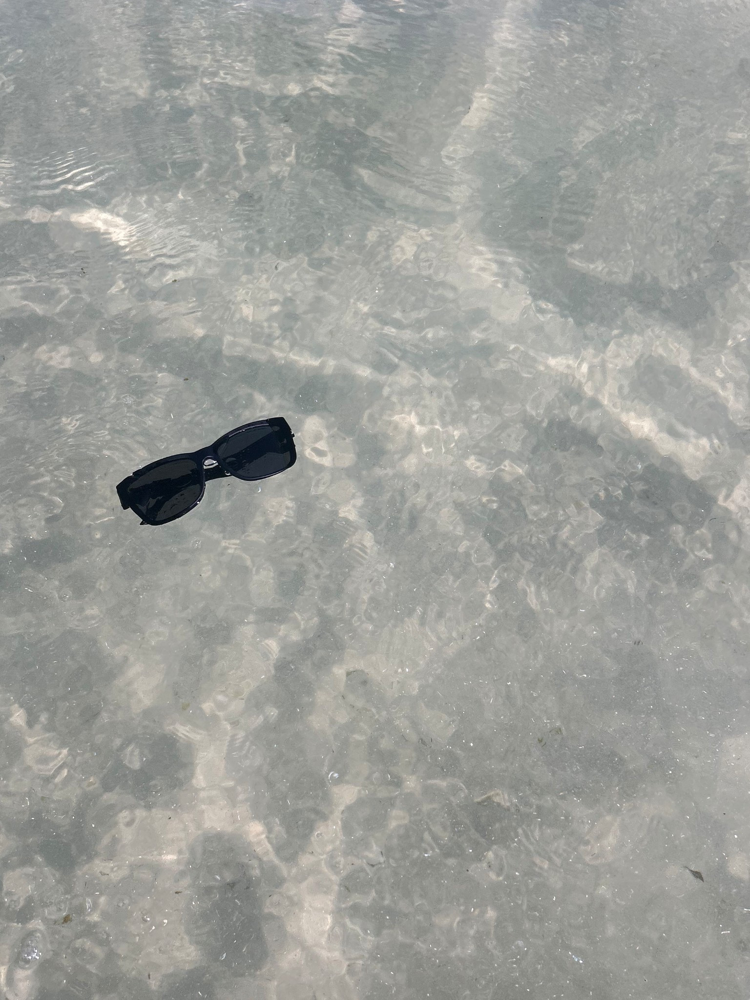 Welcome to your new favorite sunnies! I’ve been wearing these new shades from Rheos  for the past week! 

With lightweight floating frames and polarized lenses, these shades are the perfect match for life on the water. 

The “Lana” style is shown here with gunmetal frames and smoke lenses. Functional for beach days and boat days, stylish and comfortable for all the days in between. 
