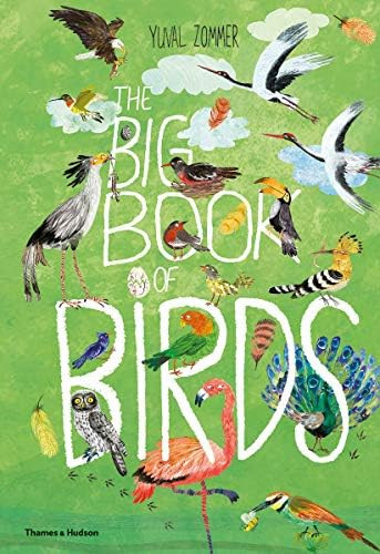The Big Book of Birds (The Big Book Series) | Amazon (US)