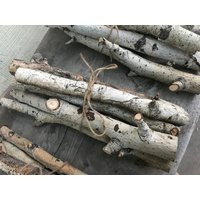 Small bundle of 6 aspen fireplace logs | Etsy (US)