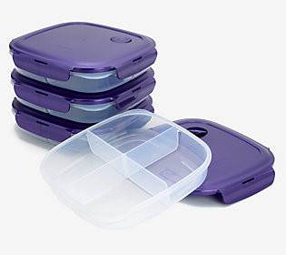 LocknLock Set of 4 Divider Plates with Vented Locking Lids | QVC
