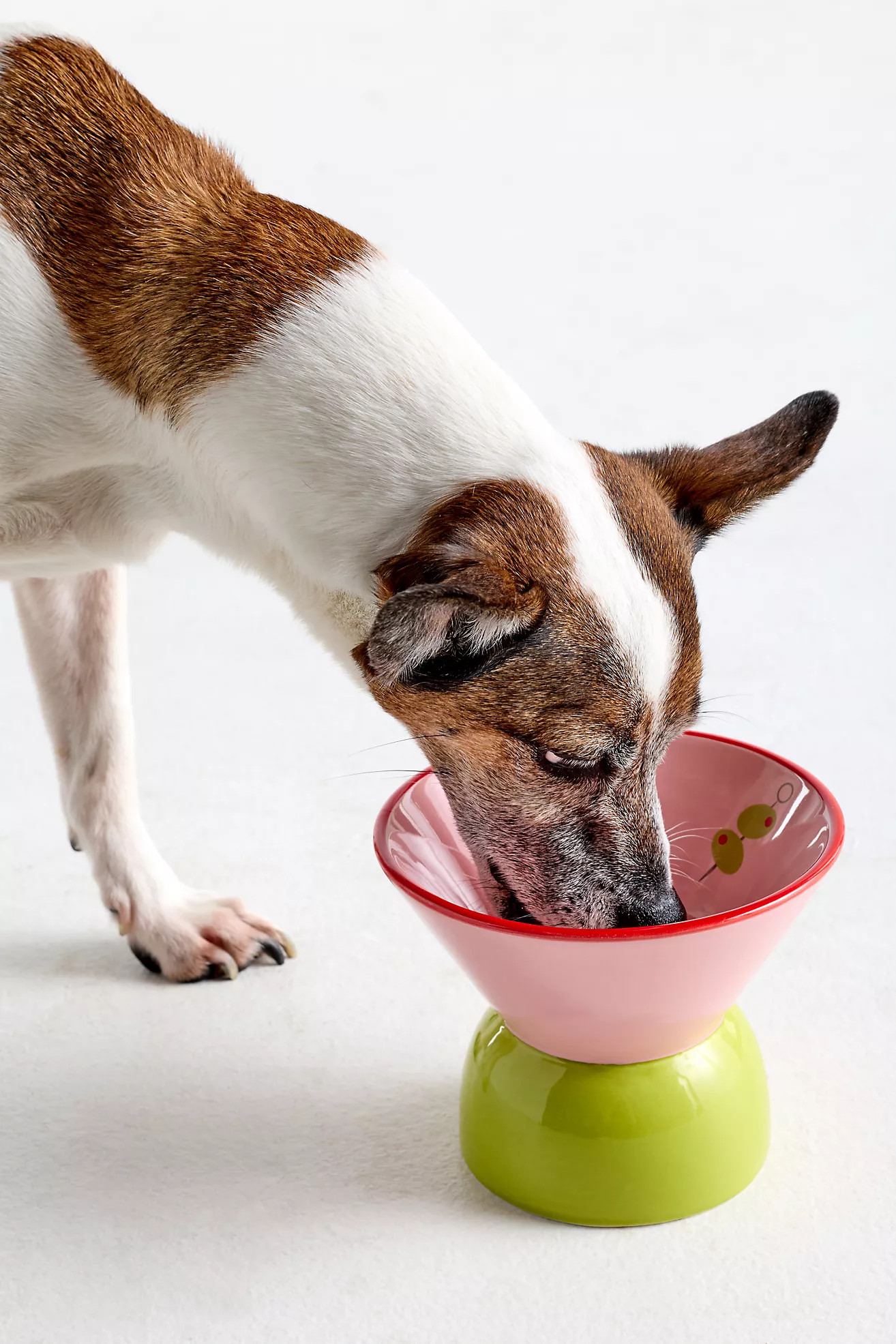 Boozy Pet Bowls | Anthropologie (US)