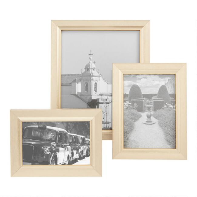 Champagne And Gold Verona Frame | World Market