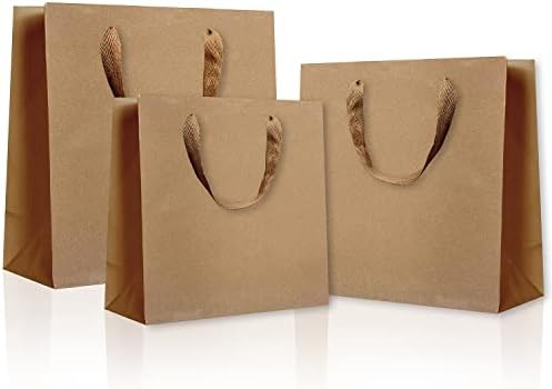 21 Pcs Paper Gift Bags, 3 Sizes Brown Kraft Paper Gift Bags for Present, Shopping and Party | Amazon (US)