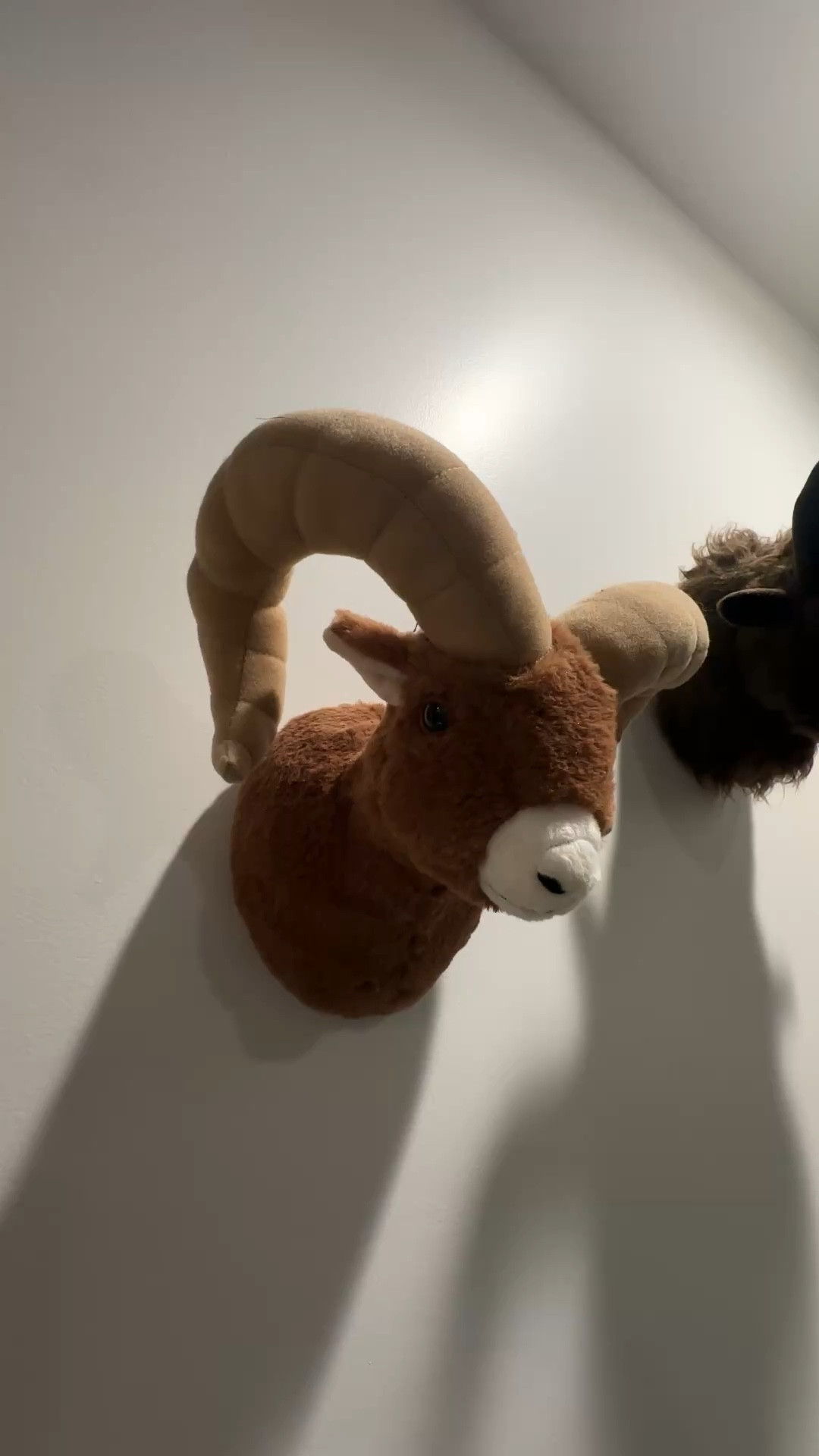 The animals are the star of the show in the nursery ! We got them as gift and love them!

#LTKBaby #LTKmomlife #LTKHome