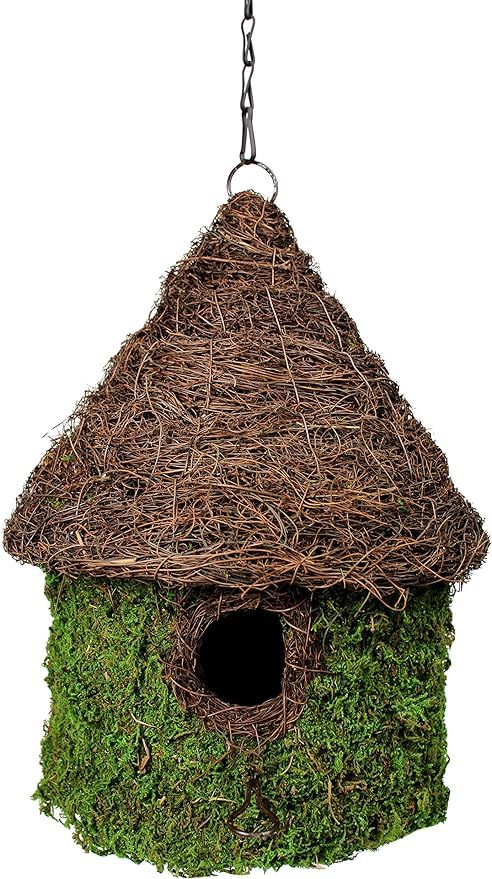 SuperMoss (56013) Bungalow Birdhouse with Chain, 11 by 15-Inch, Fresh Green | Amazon (US)