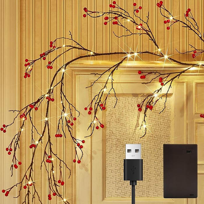 Fudios Lighted Red Berry Garland with Timer 120 LED 6FT Battery Operated USB Plug in,Lit Christma... | Amazon (US)