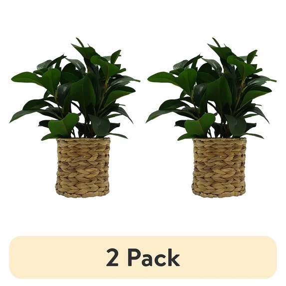 (2 pack) Better Homes & Gardens 13" Artificial Peperomia Plant in Wicker Basket | Walmart (US)