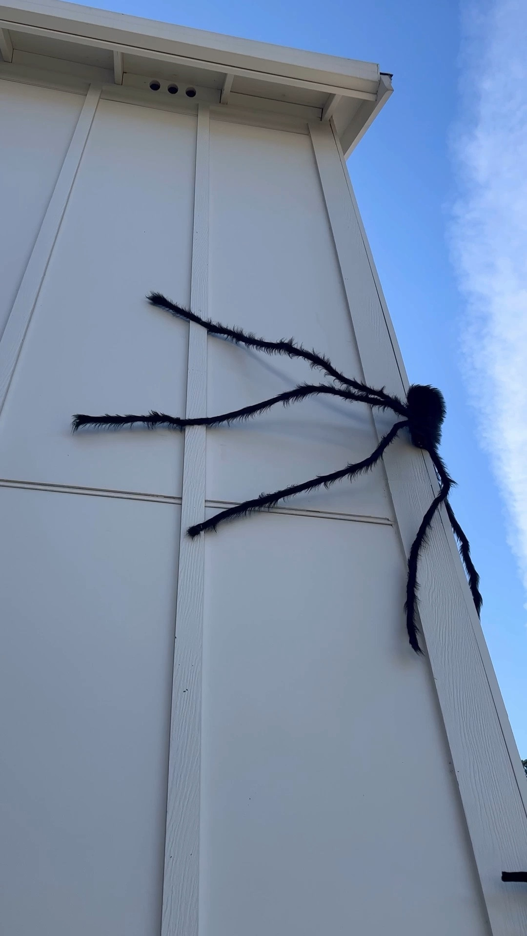 We’re decorating the outside of our house for Halloween this weekend and I wanted to share how we hang our giant spiders on our house. We’ve done this on both our wood siding home and now our stucco home and both methods work great! For stucco, we use a command hook and plant ties to secure the legs. For wood, we use command hooks and a staple gun to staple the legs to the battens or siding. 

Each spider has a loop attached to the back that hooks onto the command hook. You can use a zip tie to secure it extra well. The plant ties can leave some sticky residue behind, but a heat gun will or hair dryer will melt them off. They stay in place really well! 

#LTKSeasonal #LTKHome #LTKHalloween