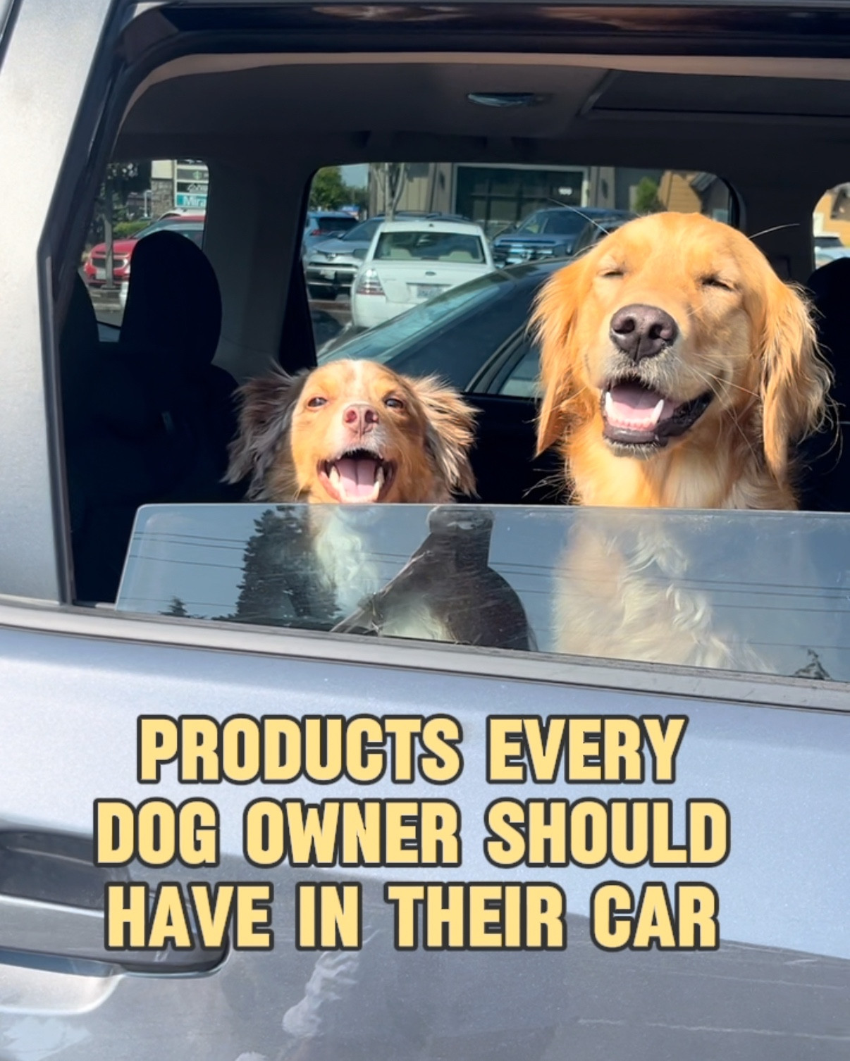 All Our Car Essentials!

Use code “AYCEANDARIA” for 15% your Dr. Cuddles purchase!! 