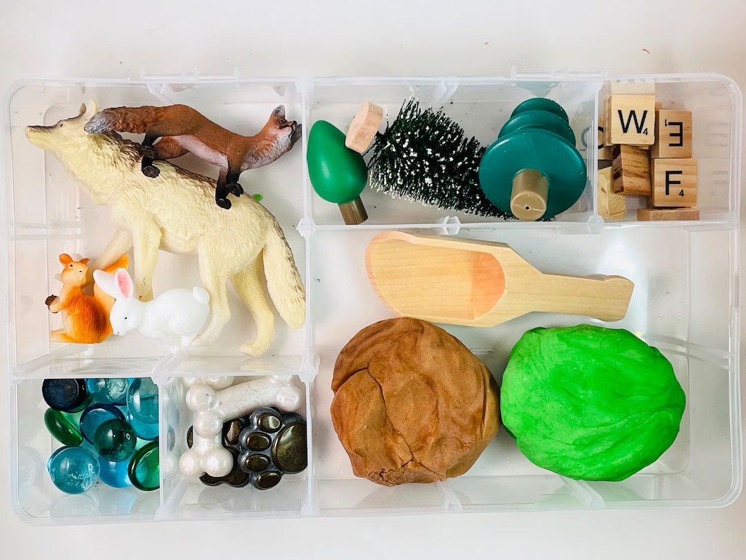 Forest Themed Play-dough Sensory Box - Etsy | Etsy (US)