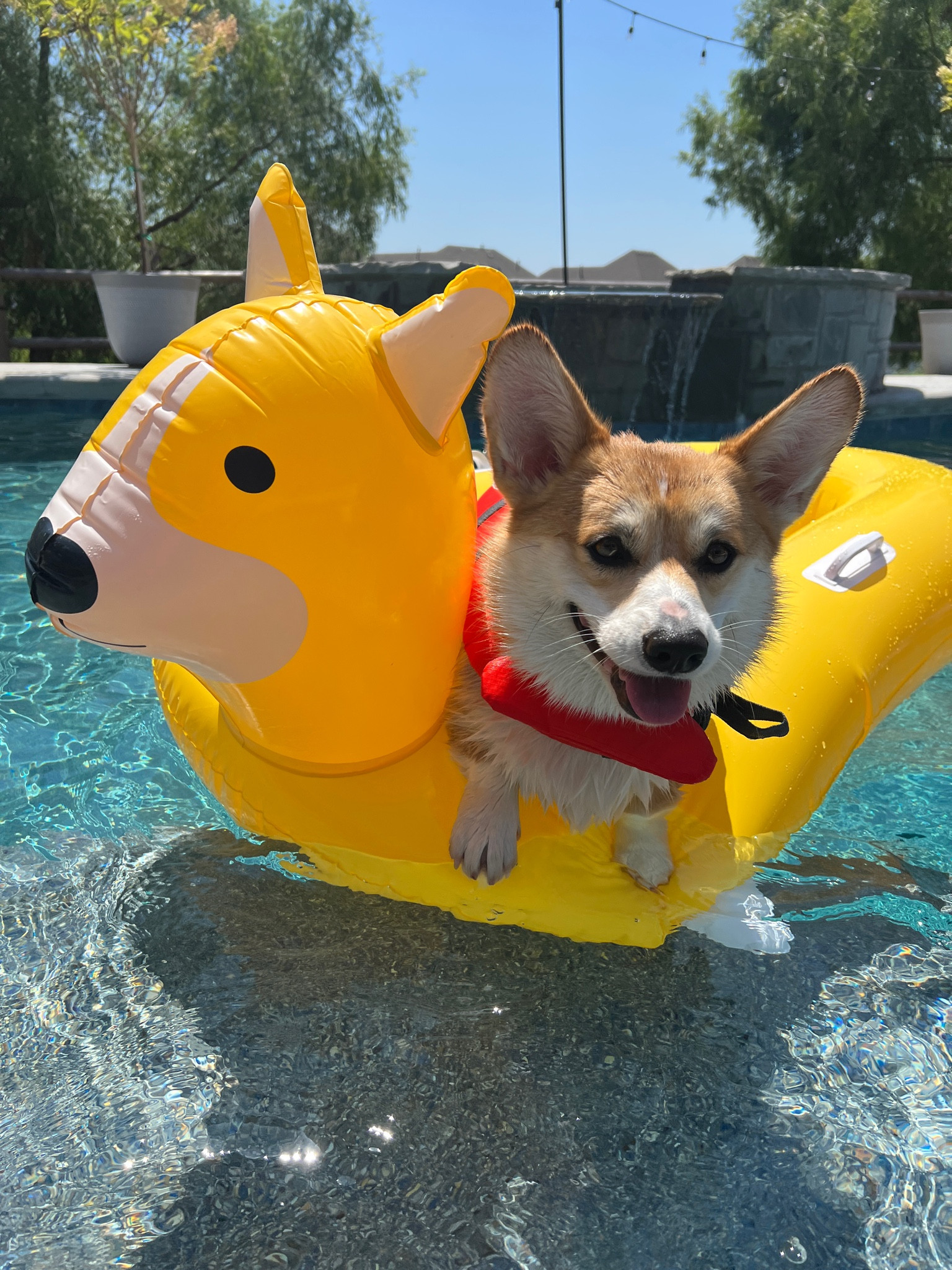 Pool time is the best time 

#LTKFindsUnder50 #LTKSeasonal