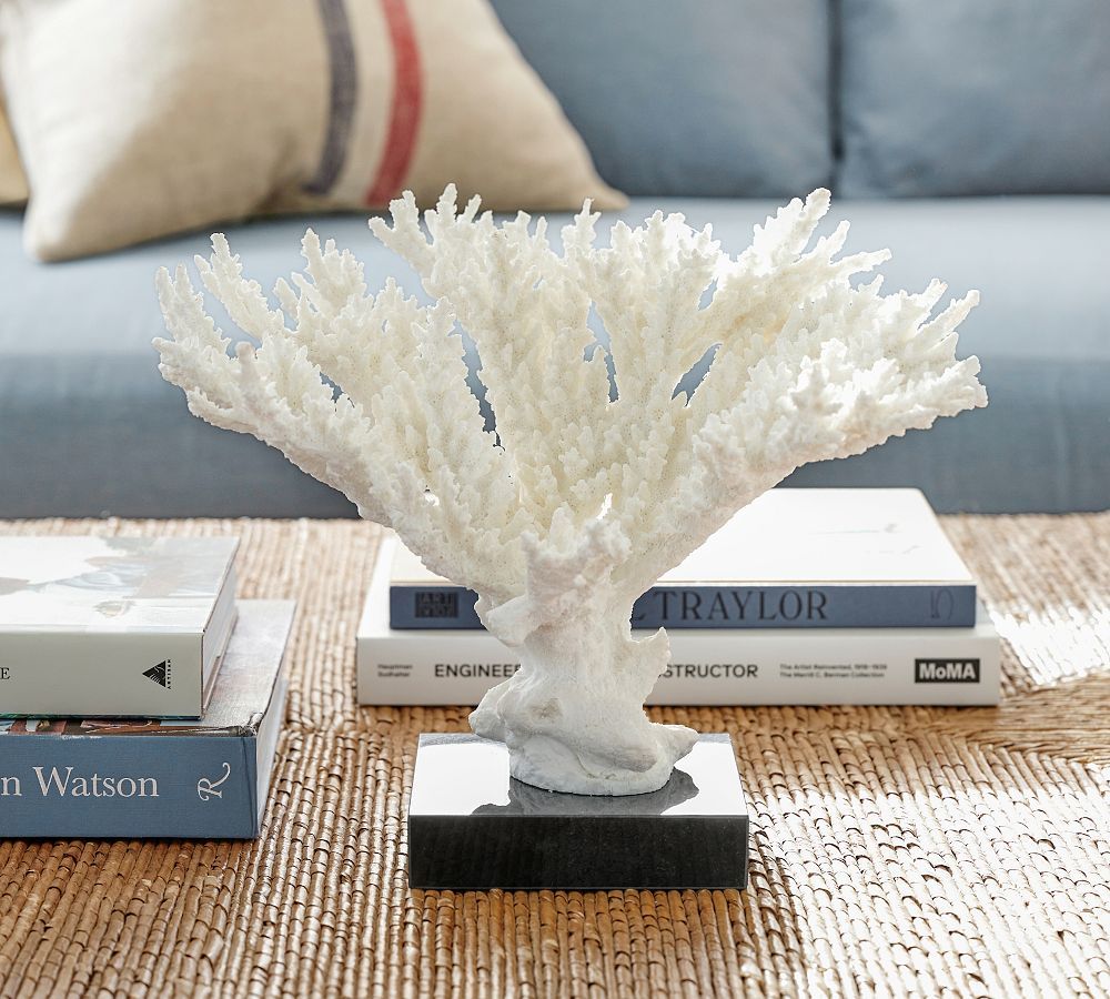 Faux White Branching Coral on Black Stand | Pottery Barn (US)