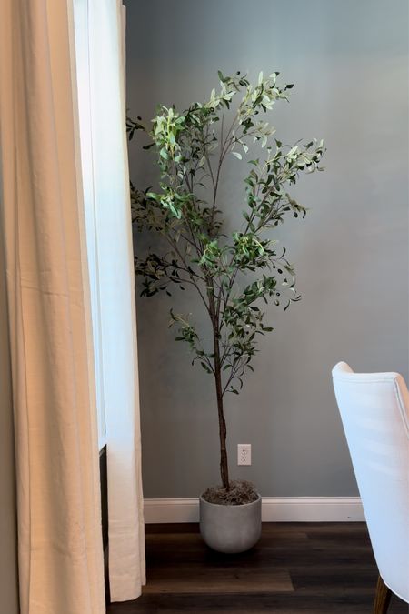 Amazons best looking olive tree! 

#LTKhome #LTKstyletip