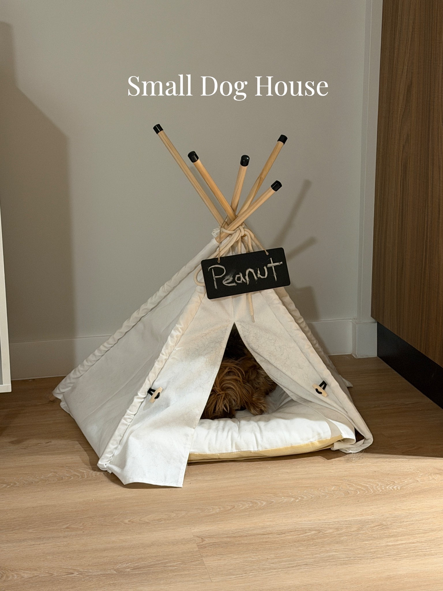 Small doggie bed/house tent ⛺️🥹❤️ HE LOVESSSSS IT!!! 

I don’t know about your dog but conventional doggy beds just don’t work for him. He hates them, but my dog loves to do is sleep in dark areas and hide in corners or underneath things so I had this creative idea of getting him a doggy bed he would actually love that fit his personality and also is aesthetically pleasing and that’s how I came up with the TP tent doggy bed. Perfect for small dogs. Perfect for all you dog moms, my Yorkie love it. 

Puppy love … could be for cats too. Pet bed 

#doggiebed #dogbed #dogtent #smalldogs #puppymom #doggiemom #tent #teepee #creativegifts #under100 #dogs #puppy #cats #puppyhome #pet #essentials

#LTKFindsUnder100 #LTKdayinmylife #LTKGiftGuide