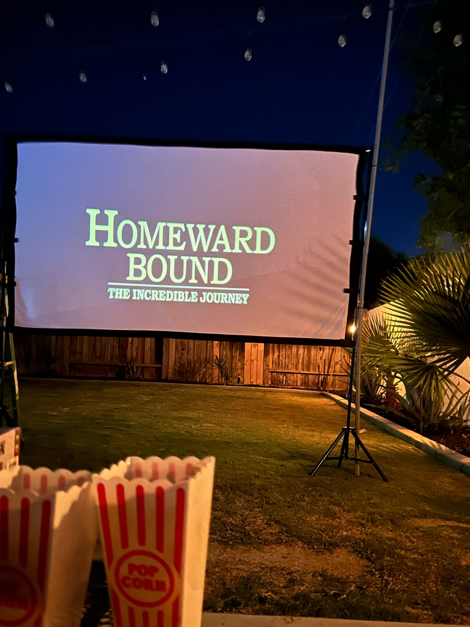 Outdoor movie projector & screen for family movie nights under the stars! 🍿📽️💫 Ordered a different screen than the one that came with the projector because the reviews on it weren’t very good but the screen purchased and projector are 10/10 quality!!!

#LTKFindsUnder100 #LTKHome #LTKKids