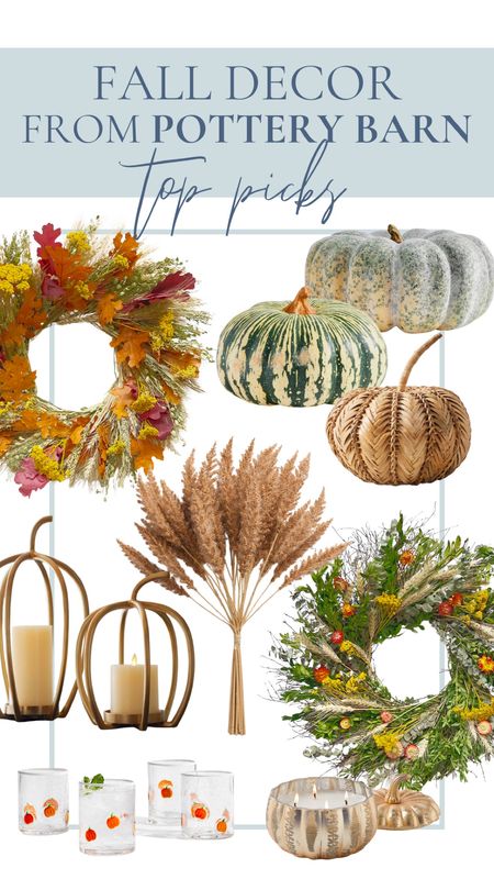 Classic fall decor finds from pottery barn. They have the best fall wreaths! These 2 were my faves. Pumpkin decor, faux pumpkins and vase fillers, woven pumpkins 

#LTKHoliday #LTKfindsunder100 #LTKhome