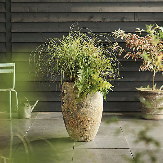 Barnacle Egg Pot, 28"H, 19" diameter | Terrain