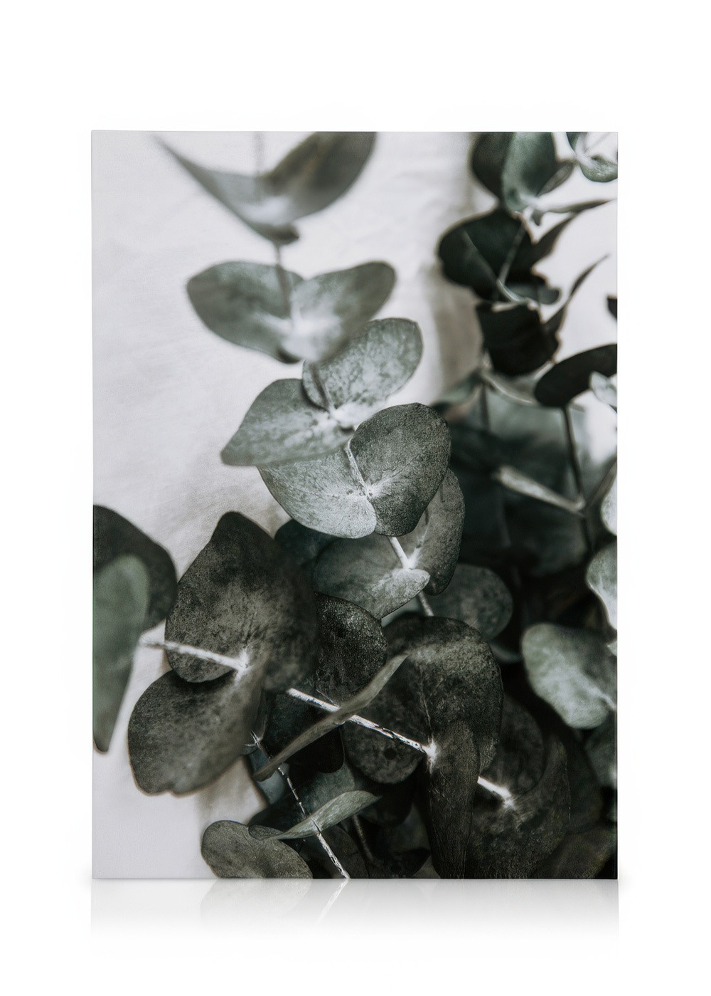 Eucalyptus Bouquet No1 Canvas print | Desenio
