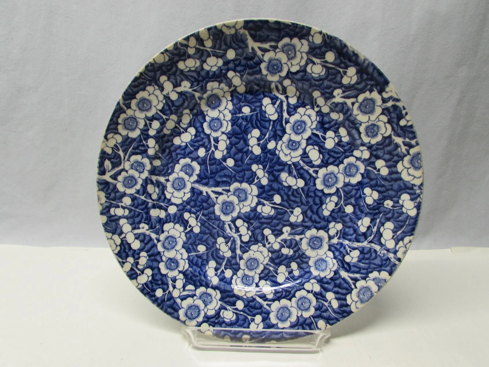 OFFER - Vintage 9" Prunus Dinner Plate - AD&MS England  | eBay | eBay US