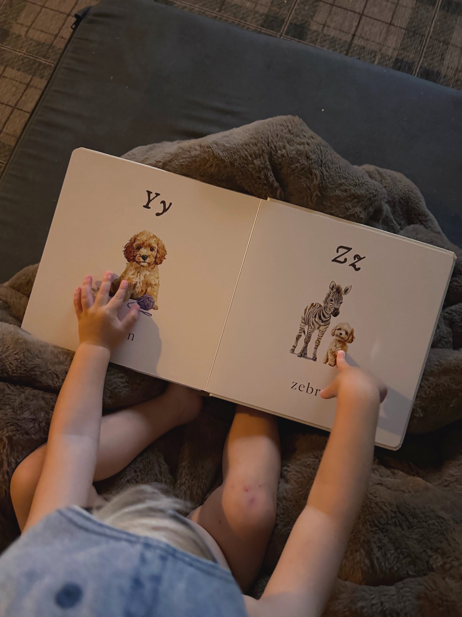 My 20 month old toddlers favorite bedtime book! For the doodle lovers or any puppy lovers 🫶🏼

#LTKmomlife #LTKKids #LTKMens