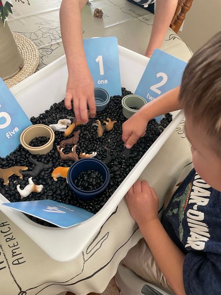 Feed the puppies sensory bin 

#LTKkids #LTKhome