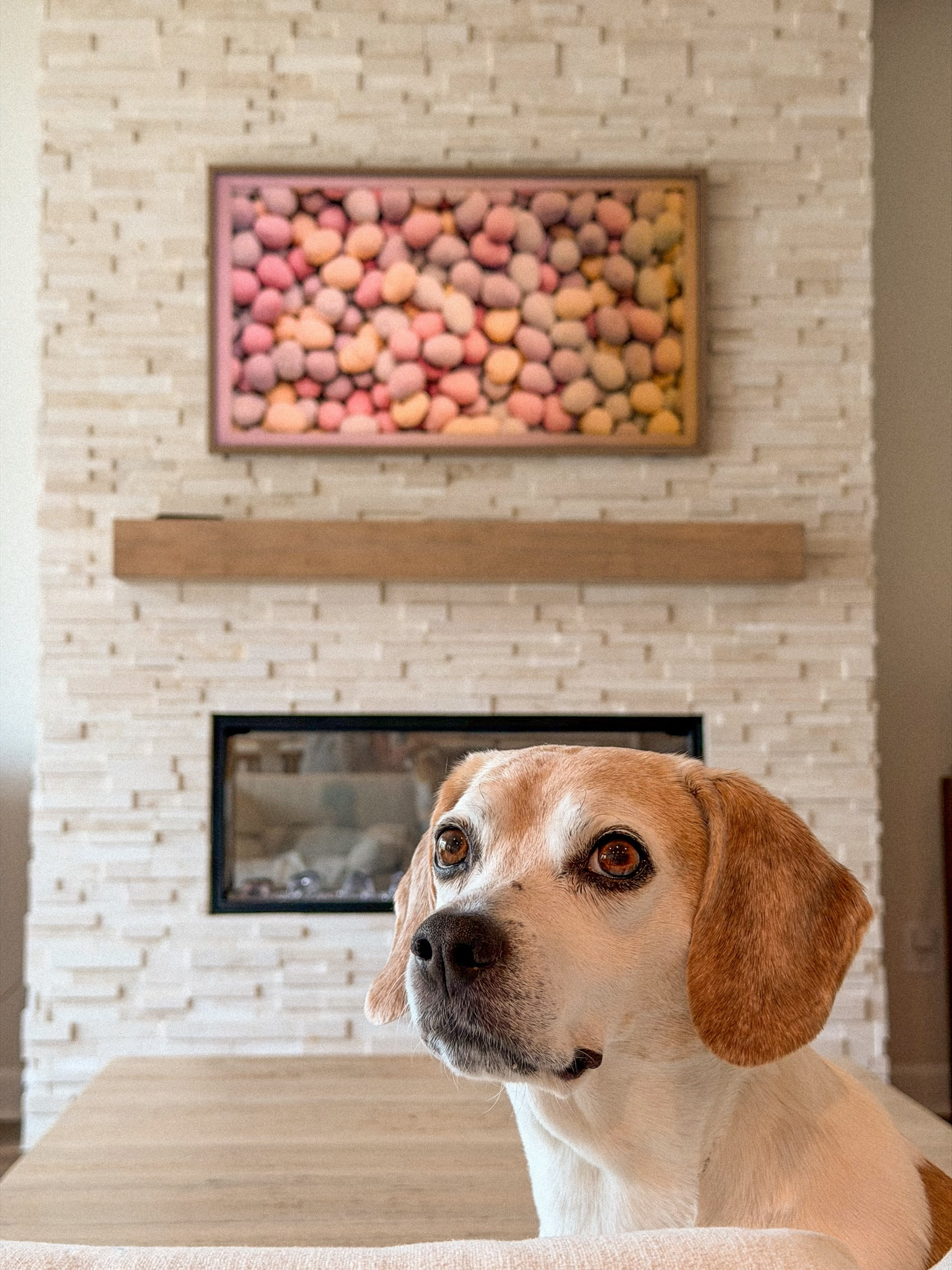 Samsung frame tv 

#LTKSeasonal #LTKHome #LTKSaleAlert