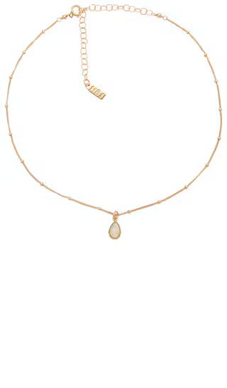 Odessa Drop Choker in Gold | Revolve Clothing (Global)
