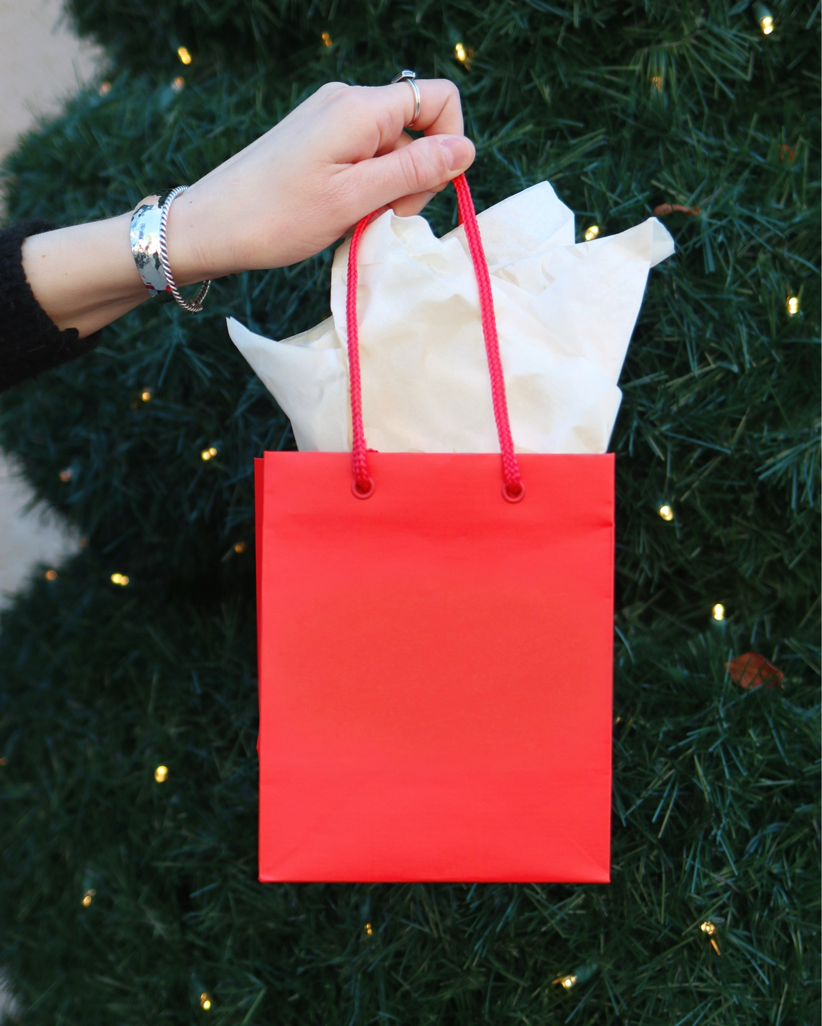 Luxe last minute Christmas gifts she will actually use! From Korean skin care to peptide hair treatments and silk sleep masks this list gift guide includes all things she will love and appreciate this year, even premium teas! Most are prime so you can grab them at the last minute! 

#LTKHoliday #LTKGiftGuide #LTKselfcare