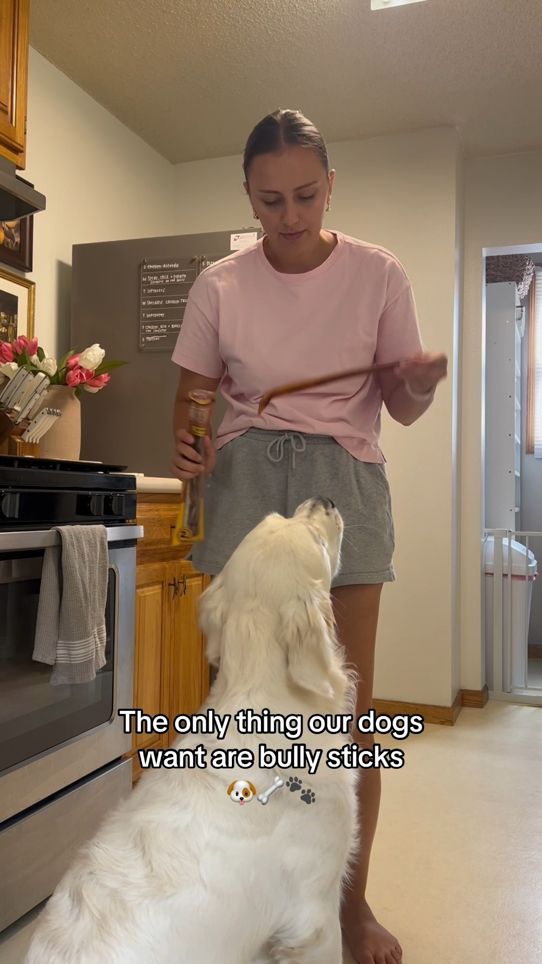 Our dogs go crazy for these single ingredient bully sticks! 🐶🦴🐾

Bull pizzle, bully sticks, dog treats, dog chews, Target pets, Amazon pets, Chewy, Walmart pets, dog activities, keeping your dogs busy, long lasting

#bullysticks #dogtreats #largedogs

#LTKPets #LTKFindsUnder50