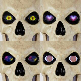 Home Accents Holiday 12 ft. Skelly Eye Kit - 8 Function 24SV24623 - The Home Depot | The Home Depot