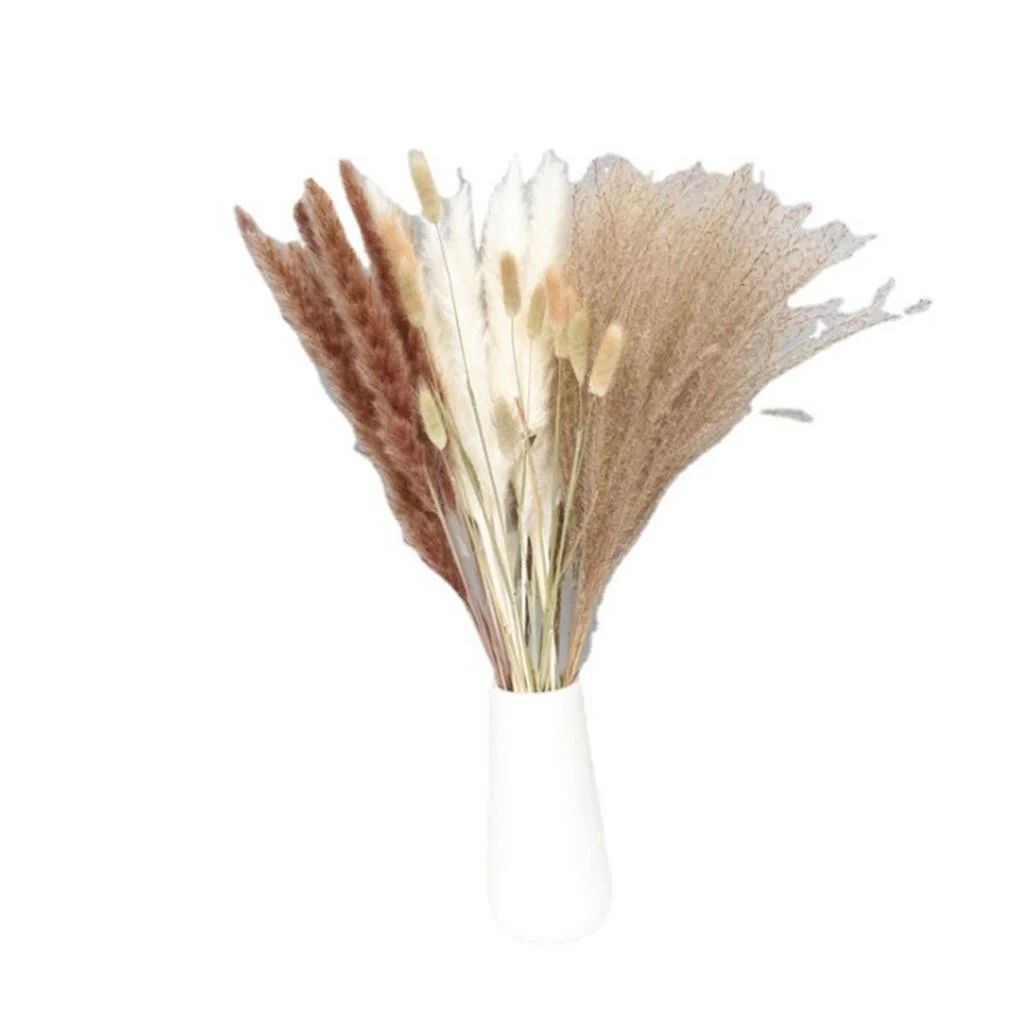Natural Dried Pampas Grass Plants 45 CM Dried Flowers for Boho Party Wedding Kitchen Yard Home De... | Walmart (US)