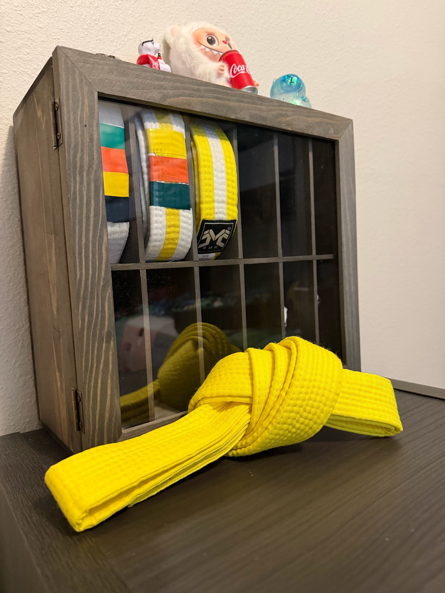 Taekwondo and Martial Arts Moms, are you looking for a nice way to display your kiddos belts and achievements? My son loves his display case in his bedroom. He got to add to it this weekend when he had his Taekwondo Testing and leveled up to a High Yellow belt  

#LTKKids #LTKdayinmylife #LTKmomlife