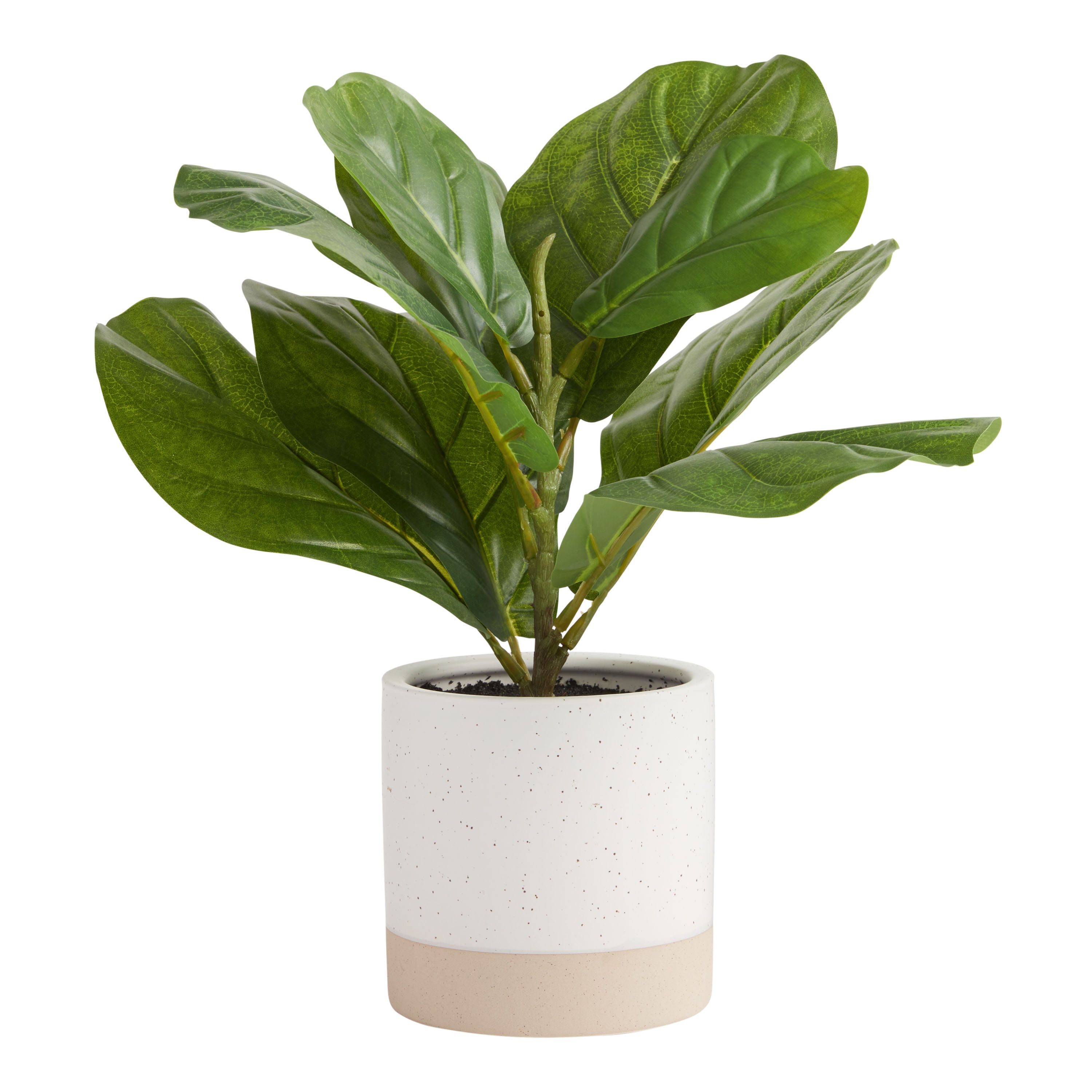Faux Fiddle Leaf Fig Plant in Two Tone Cement Pot | World Market