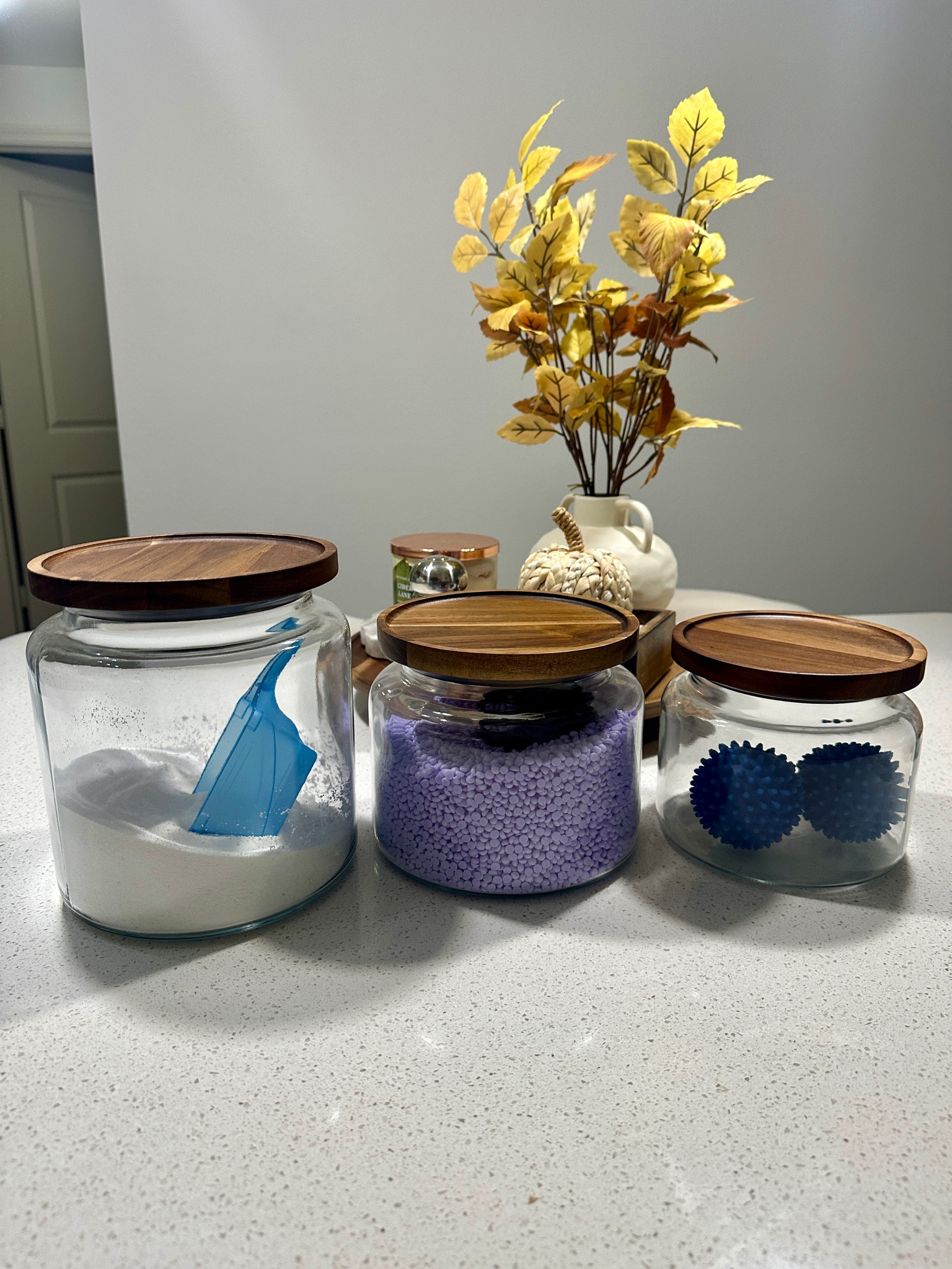 Set of 3 Glass Jars with Acacia Lids- great for your kitchen or laundry room

#LTKHome #LTKFindsUnder50