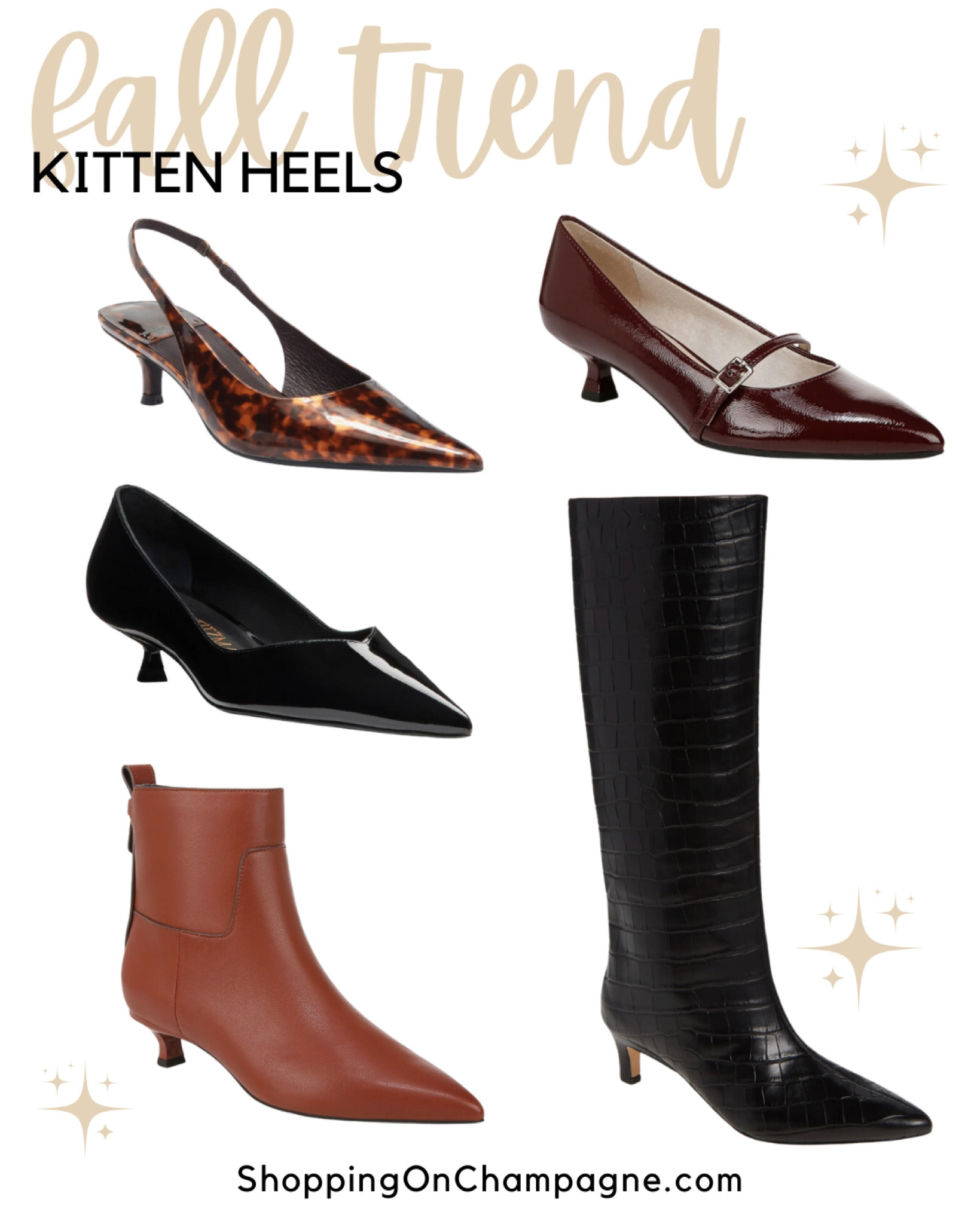 FALL SHOE TREND: Kitten Heels! Look cute, chic, and stylish in heels that aren’t too high. Kitten heels come in almost every style including slingbacks, Mary Jane’s, pointed toe pumps, knee-high boots, and booties. Which style is your favorite? 


#LTKShoeCrush #LTKStyleTip #LTKSeasonal