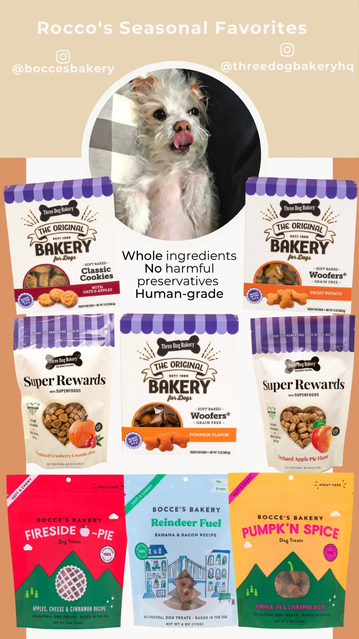 Rocco’s seasonal favorites from this holiday season!🐾🤍🎃🍂🎄❄️
Bocce’s Bakery & Three Dog Bakery are two brands that I am always stocked up on for Rocco! The recipes are as gourmet as they are wholesome & delicious! 

#LTKunder50 #LTKhome #LTKfamily