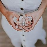 Stained Glass Succulent Ring Dish | Dusty Rose | Amazon (US)