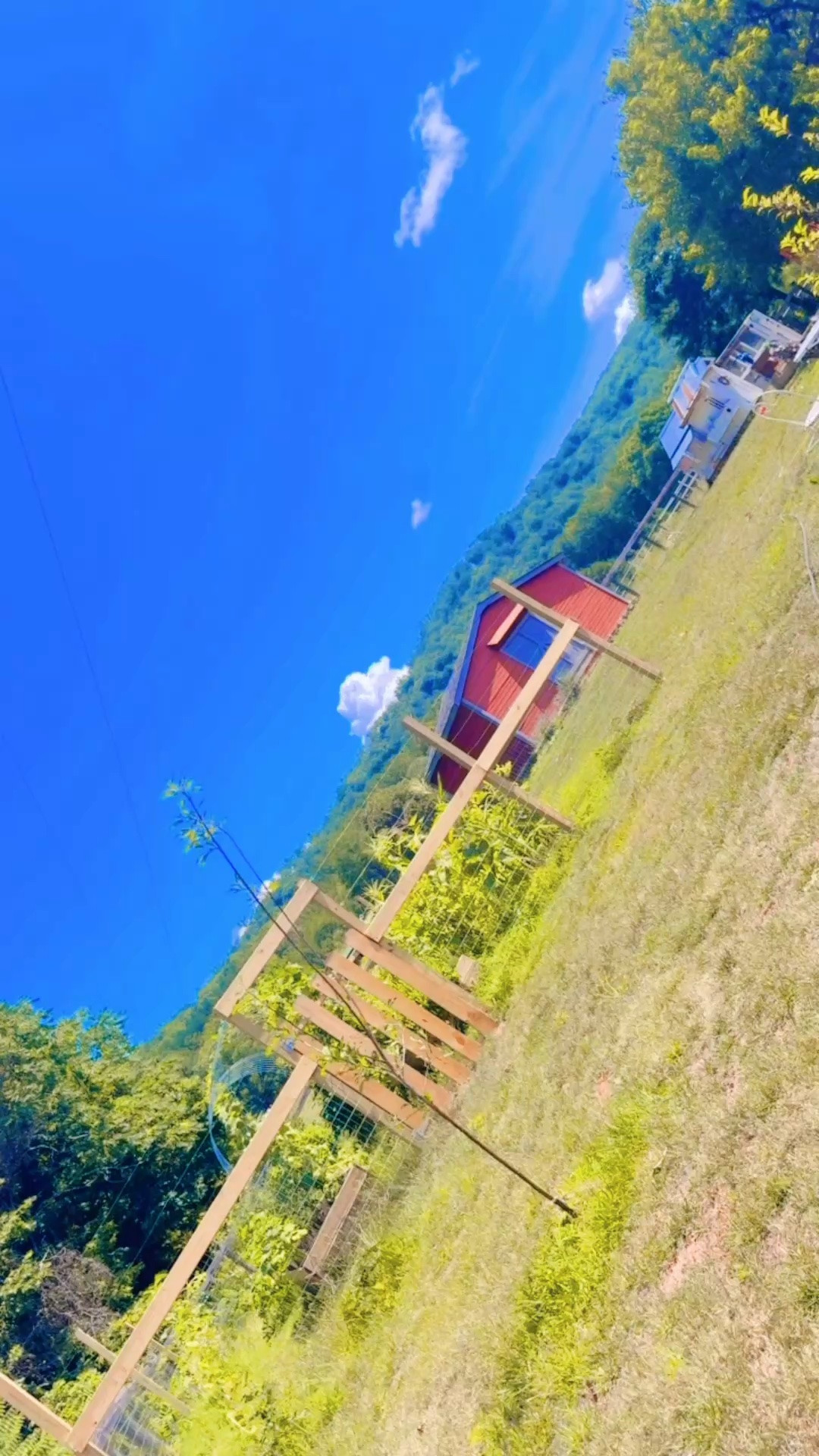 And out watering 💦 the orchard 🍎🌳🍑 and garden 🪴🍅🌽💐🌾🍉 while the littles 👶🏼👶🏼 have been playing together (these ages are the best - 2 and 5 👏🏽 is where it’s at!! ✨) andddd even saw some butterflies 🦋 and my first HUMMINGBIRD - eek!!! 😍