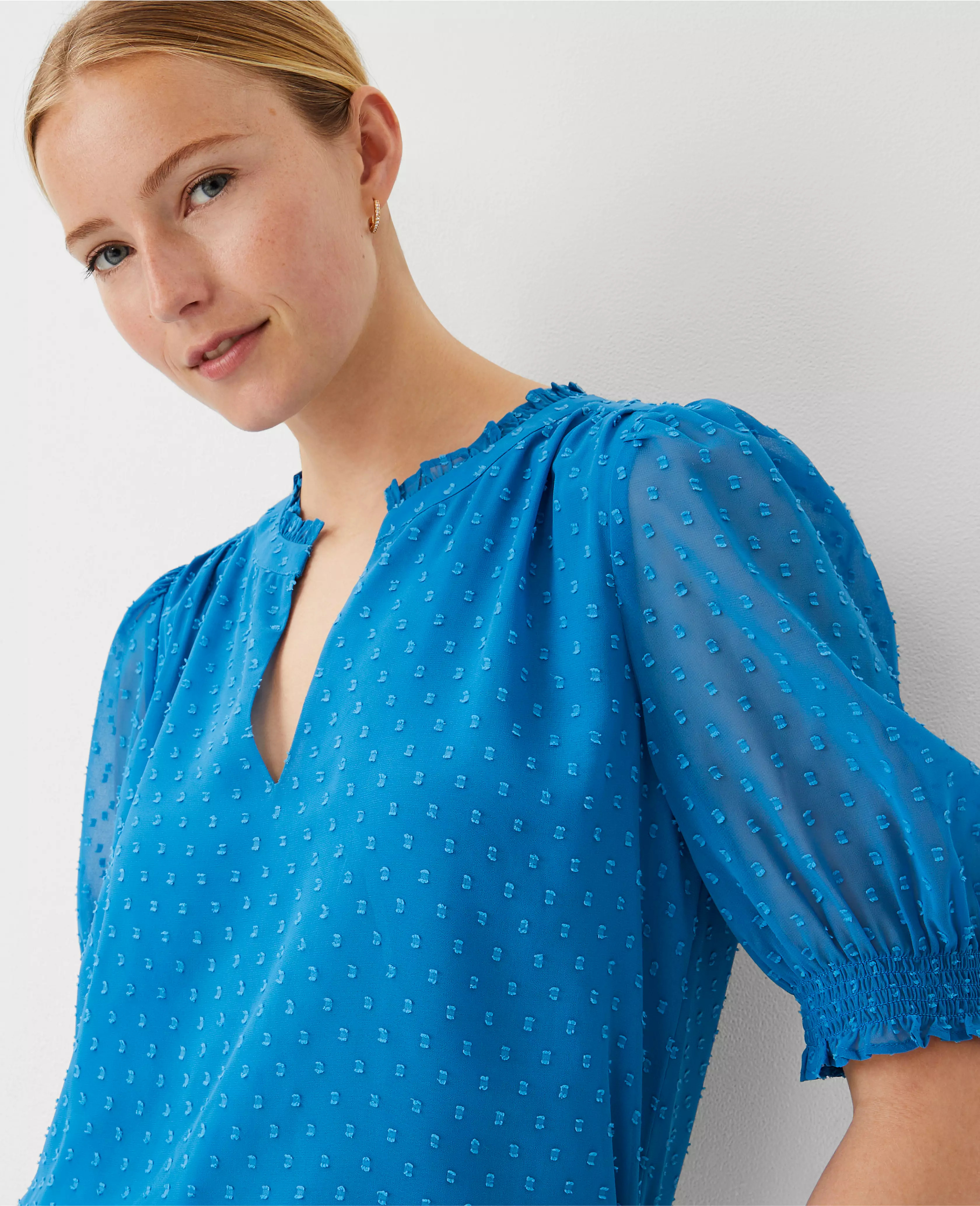 Chiffon Clip Ruffle Neck Popover | Ann Taylor (US)