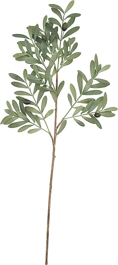 Creative Co-op Olive Branch Faux Botanical, Green | Amazon (US)