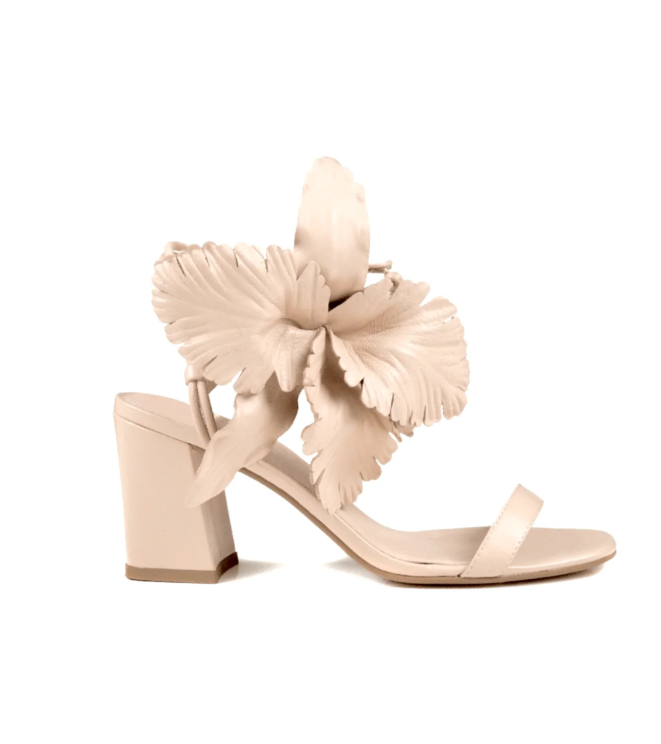 HIBISCUS | Cecelia New York
