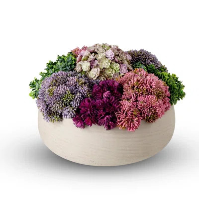 Georgina Sedum Floral Arrangement in Pot | Wayfair North America