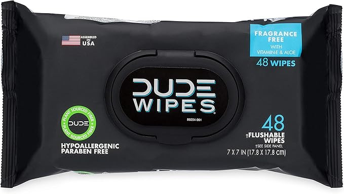 DUDE Wipes Flushable Wipes Dispenser, 48 Count (Pack of 1) | Amazon (US)
