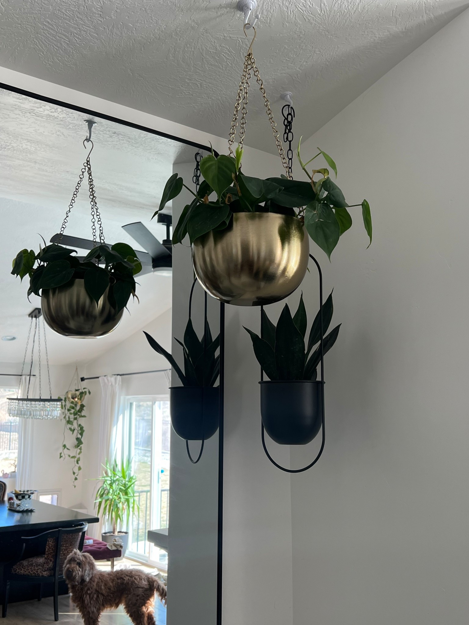 Hanging plant links 

#LTKHome