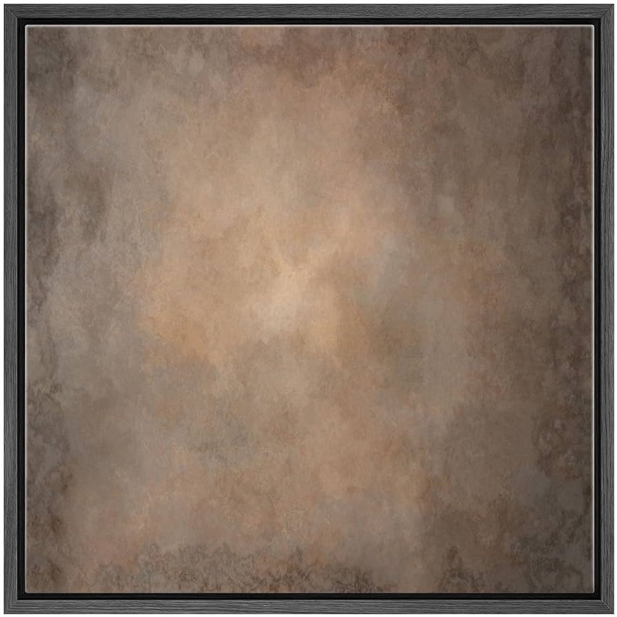 SIGNWIN Framed Canvas Print Wall Art Earthy Brown and Taupe Abstract Illustrations Modern Art Dec... | Amazon (US)