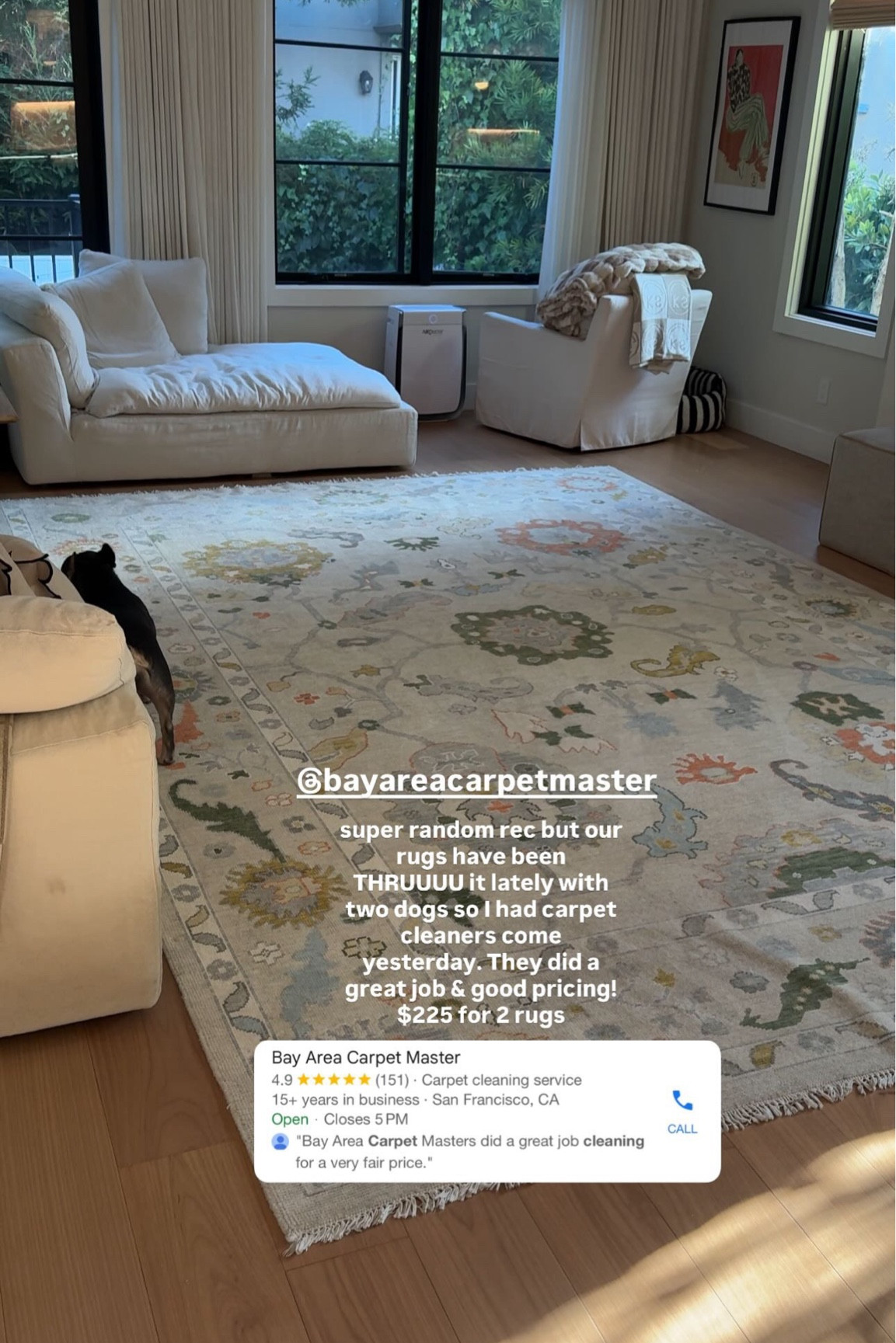 My living room rug!!